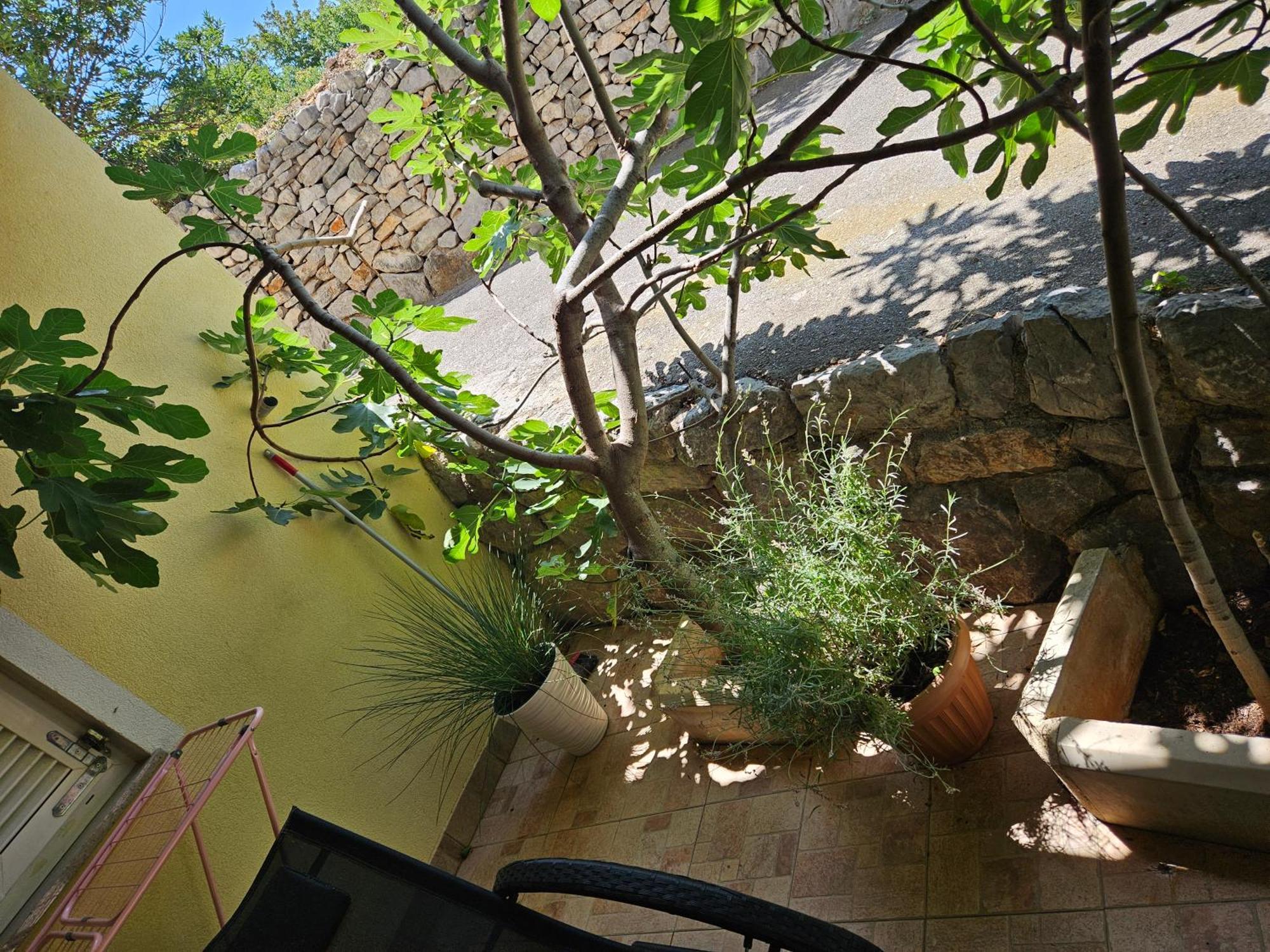 Apartmani Sanja Klenovica Exterior foto
